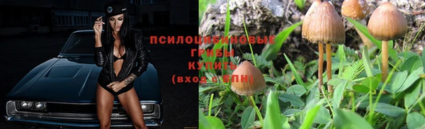 эйфоретик Алзамай
